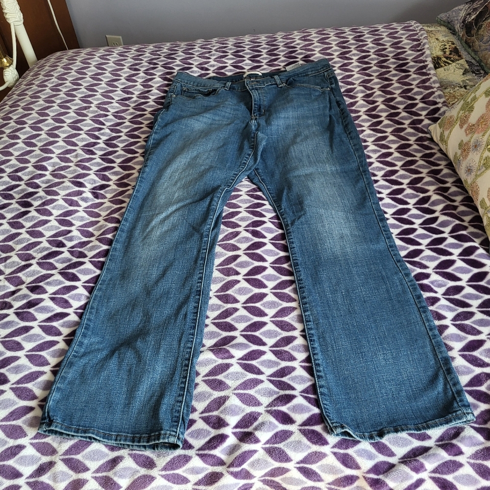 Women's Blue Jeans Size 33